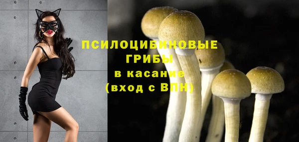 2c-b Абинск