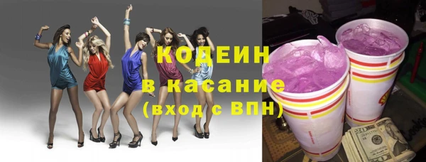 хмурый Алзамай