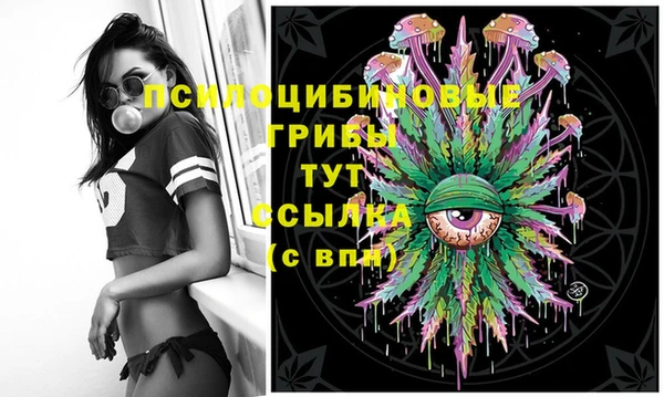 ГАЛЛЮЦИНОГЕННЫЕ ГРИБЫ Абаза