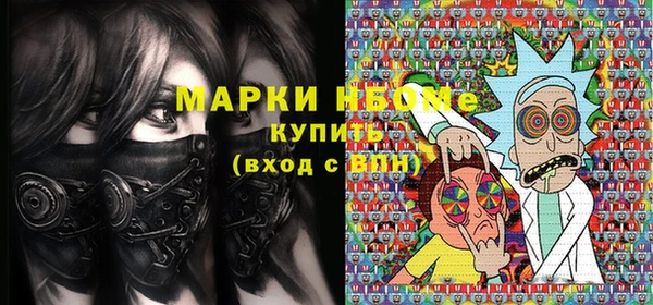 хмурый Алзамай